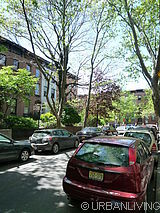 casa Carroll Gardens