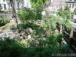 casa Carroll Gardens - Jardín