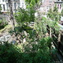 casa Carroll Gardens - Giardino